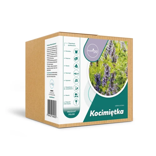 Roślina doniczkowa Kocimiętka (nepeta cataria)