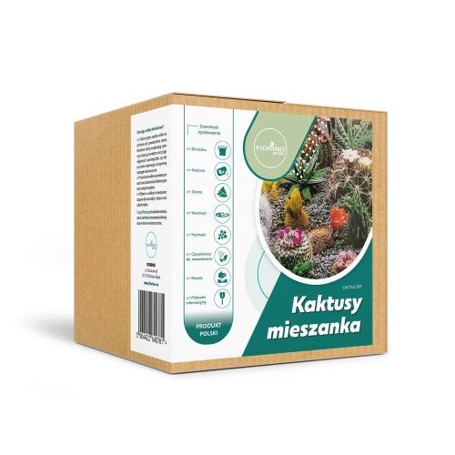Roślina doniczkowa Kaktusy mieszanka (Cactus spp.)