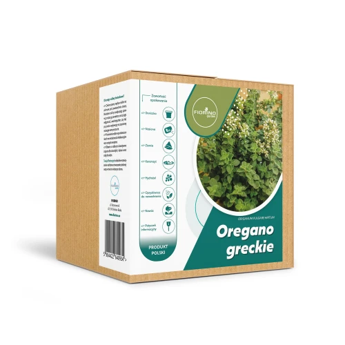 Roślina doniczkowa Oregano greckie (origanum vulgare)