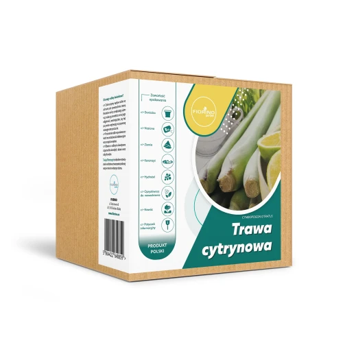 Roślina doniczkowa Trawa cytrynowa (cymbopogon citratus)