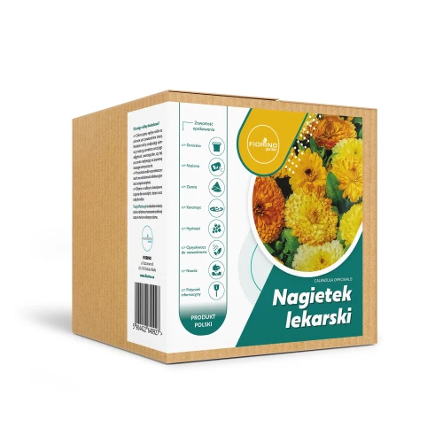 Roślina doniczkowa Nagietek lekarski (calendula officinalis)
